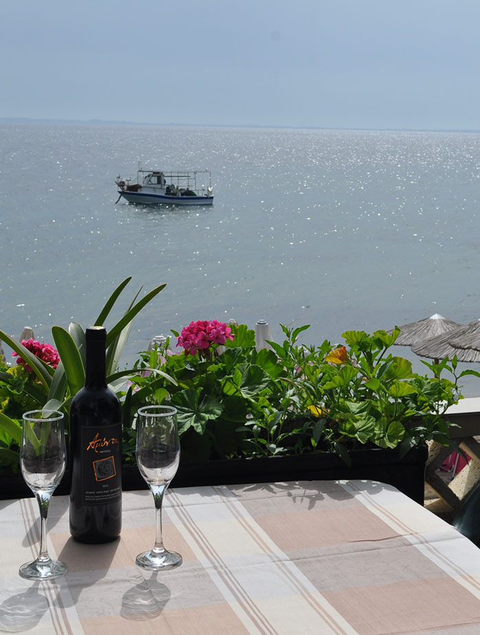 Giannis Maria Ενοικιαζόμενα διαμερίσματα στα Ψακούδια Σιθωνία Χαλκιδική